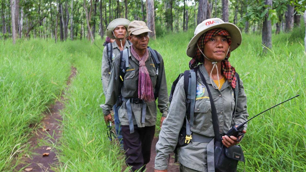 一名女森林巡警领导一组官员，通过利乐全球最大体育平台主导的生物多样性项目，打击野生动物走私并保护柬埔寨的森林
